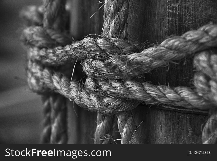Grayscale Photo of Rope on Log