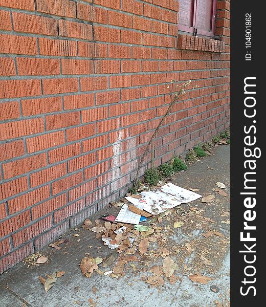 The side of a red-brick building with wild tree growing amongst scattered leaves and papers. Windows shades are drawn tight to the blight. The side of a red-brick building with wild tree growing amongst scattered leaves and papers. Windows shades are drawn tight to the blight.