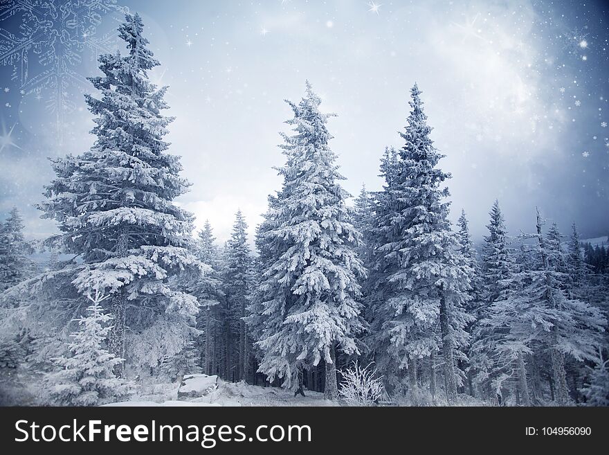Christmas and New Year background with winter trees in mountains covered with fresh snow - Magic holiday background. Christmas and New Year background with winter trees in mountains covered with fresh snow - Magic holiday background