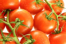 Group Of Vine Tomatoes Stock Images Group Of Vine Tomatoes Stock Images