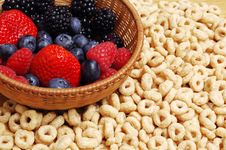 Forest Fruits And Cereals Stock Photo Forest Fruits And Cereals Stock Photo
