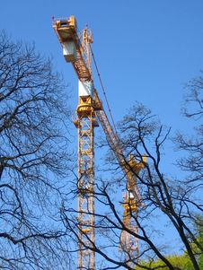 Construction Cranes And Trees Royalty Free Stock Photos Construction Cranes And Trees Royalty Free Stock Photos