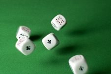 Gamble2 Royalty Free Stock Photography