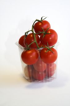 Tomatos Royalty Free Stock Image