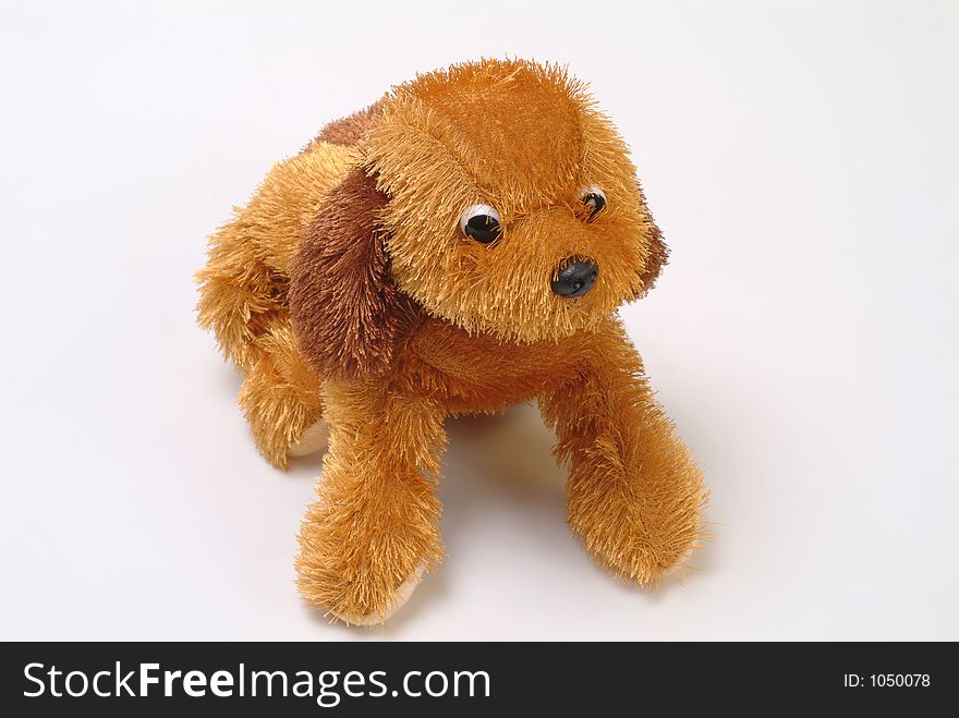 A small doggy toy on the white background