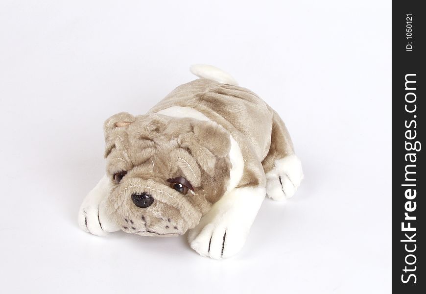 A small doggy toy on the white background