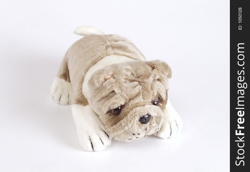 A small doggy toy on the white background