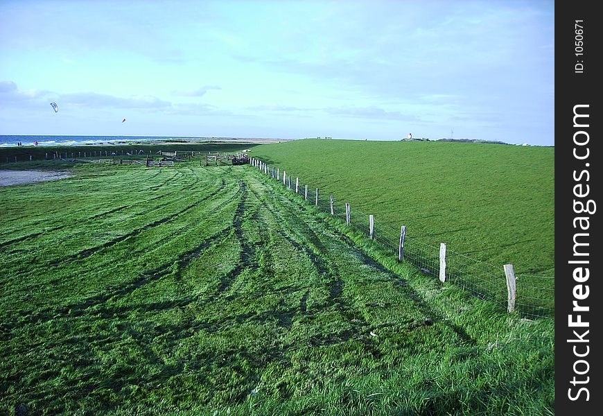 This pasture with the deep tracks in it lies between the and the ocean. This pasture with the deep tracks in it lies between the and the ocean