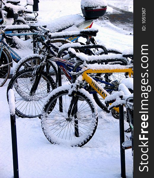 Row of locked bikes after an overnight snowfall. Row of locked bikes after an overnight snowfall.