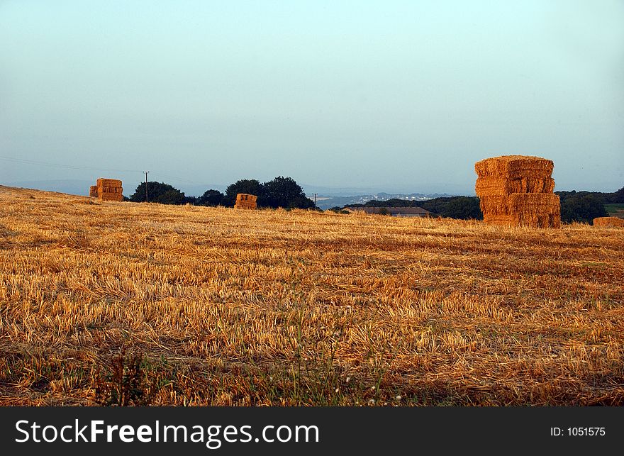 A Landscape of hay bales