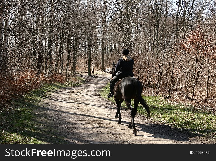 Girl riding a danish horses in the forest in the summer