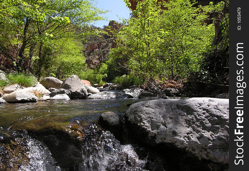 Wet Beaver Creek - Arizona