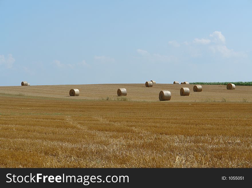 Stubble field in northern Germany