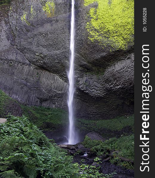 Latourell Falls in the Columbia River Gorge plunges 249 feet over a cliff of volcanic columnar basalt before flowing into the Columbia River near Portland, Oregon USA.