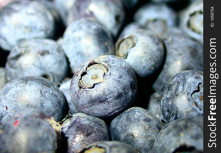 A close up shot of fresh, ripe blue berries