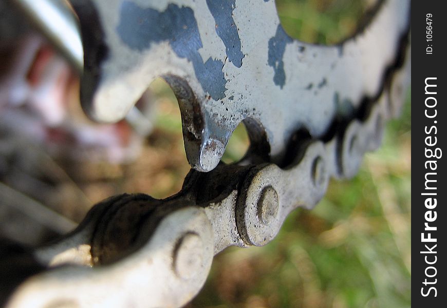 Close up of a bike gear and chain. Close up of a bike gear and chain