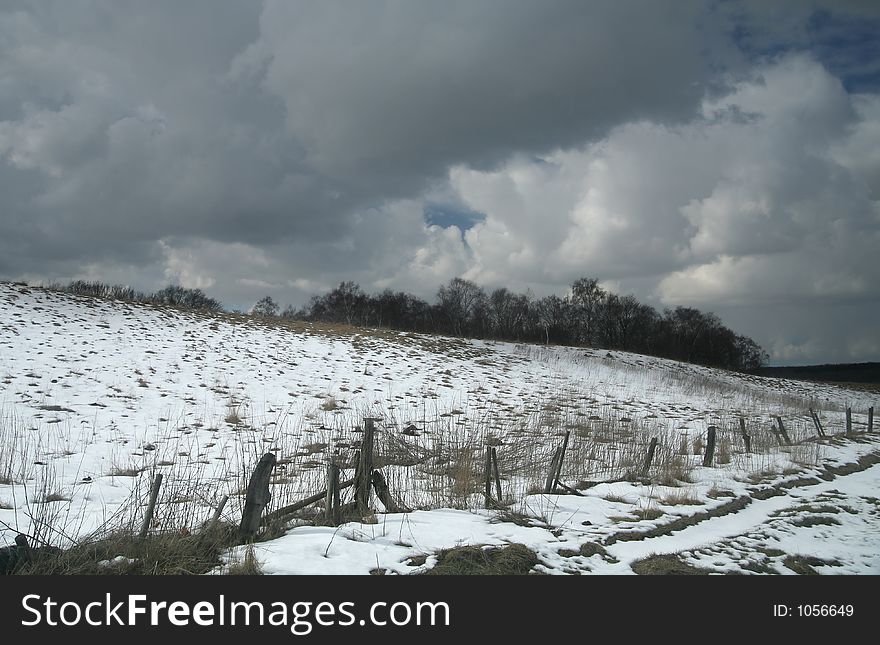 Field  in the sun in denmark under the snow  in  winter