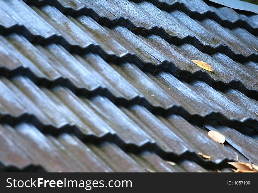 Leaves fallen on blue roof. Leaves fallen on blue roof