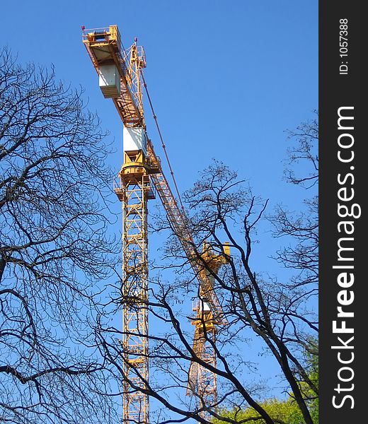 Construction cranes and trees