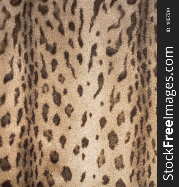 Very realistic syntethic fur. Very realistic syntethic fur