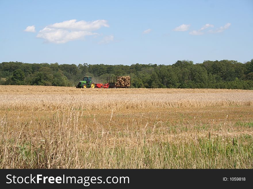 Harvest in Ontario