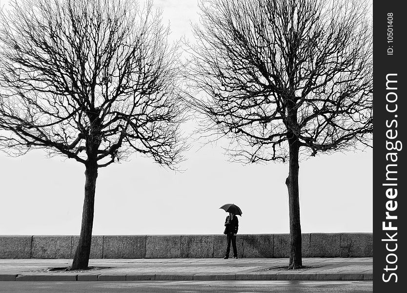 Young man with umbrella among two trees