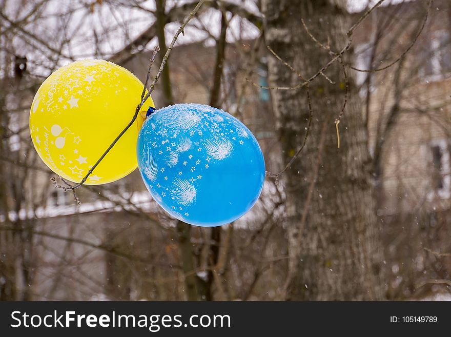 Two balloons blue and yellow color tied to a tree. Two balloons blue and yellow color tied to a tree.