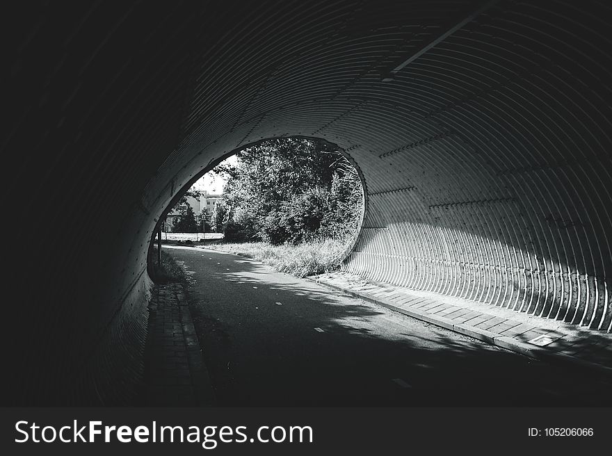 Black-and-white, Dark, Grass, Landscape