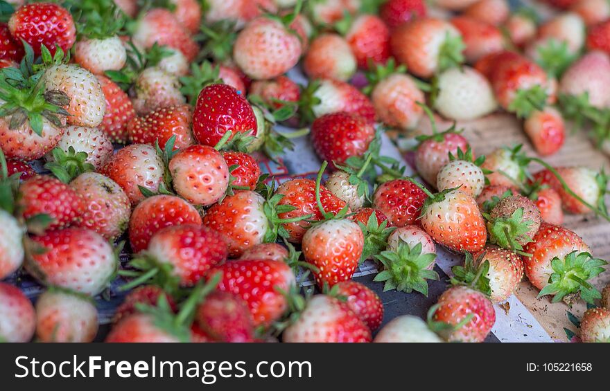 Group of fresh strawberry on paper.