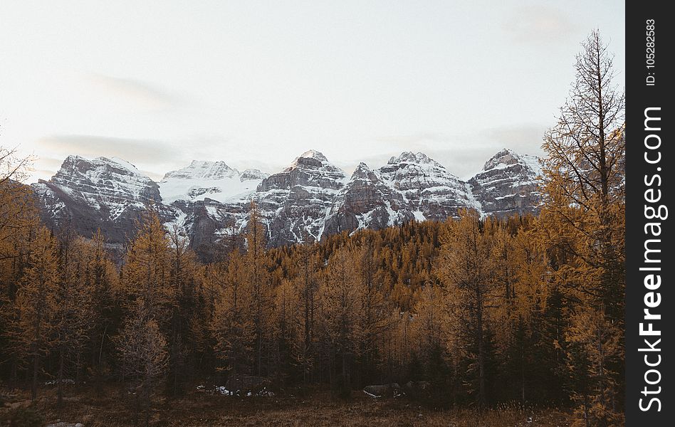 Autumn in the mountains