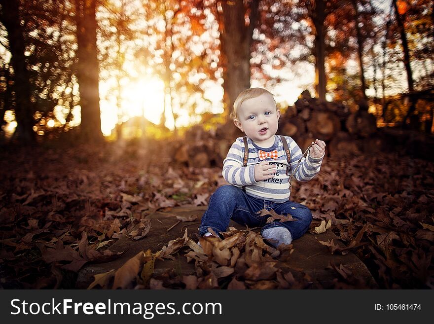 Toddler Boy In The Leaves At Thanksgiving