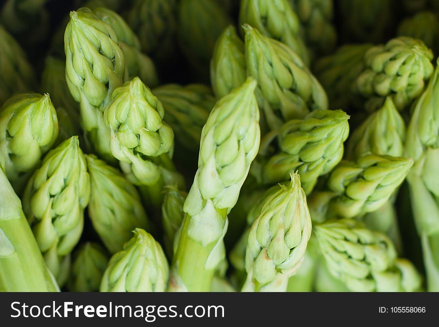 Asparagus, Close-up, Delicious