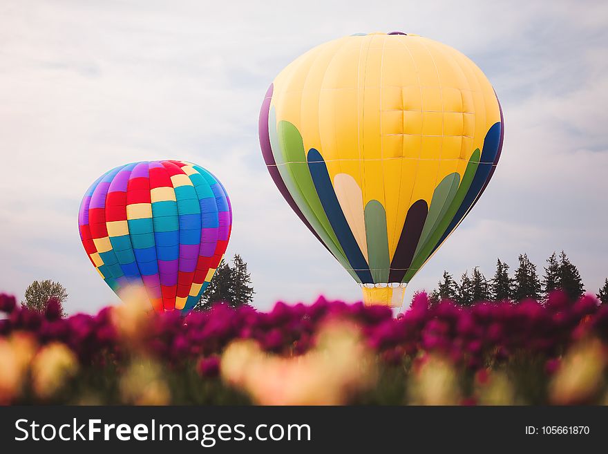 Two Assorted Color Hot Air Balloons