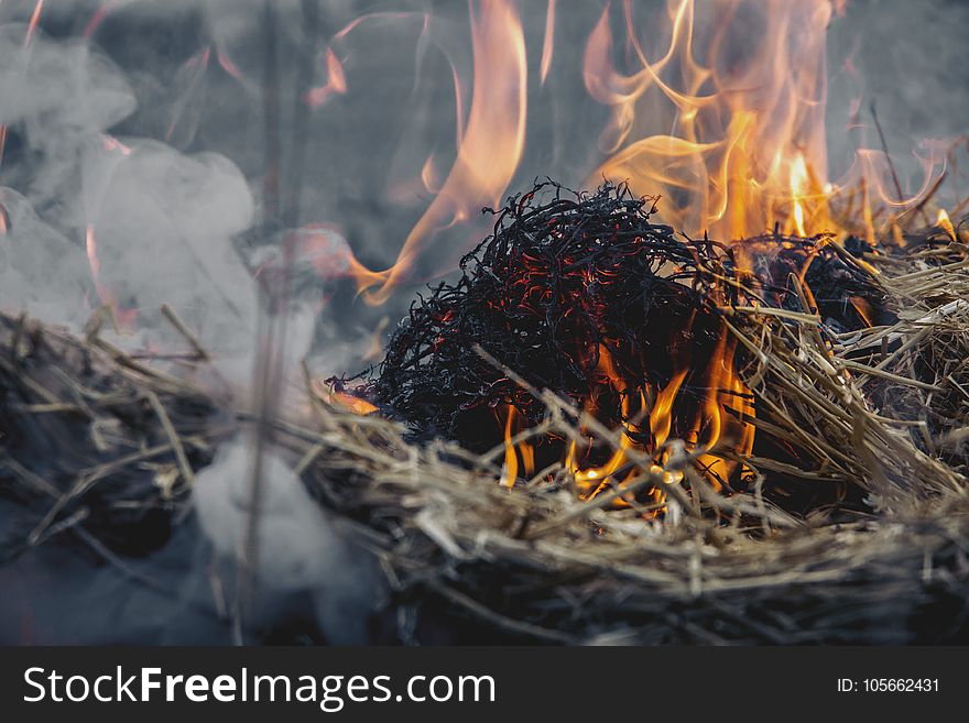 Dried Grass on Fire