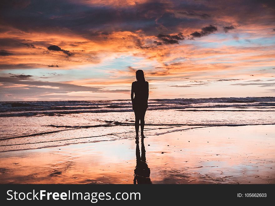 Silhouette of Woman Near Sea Shore