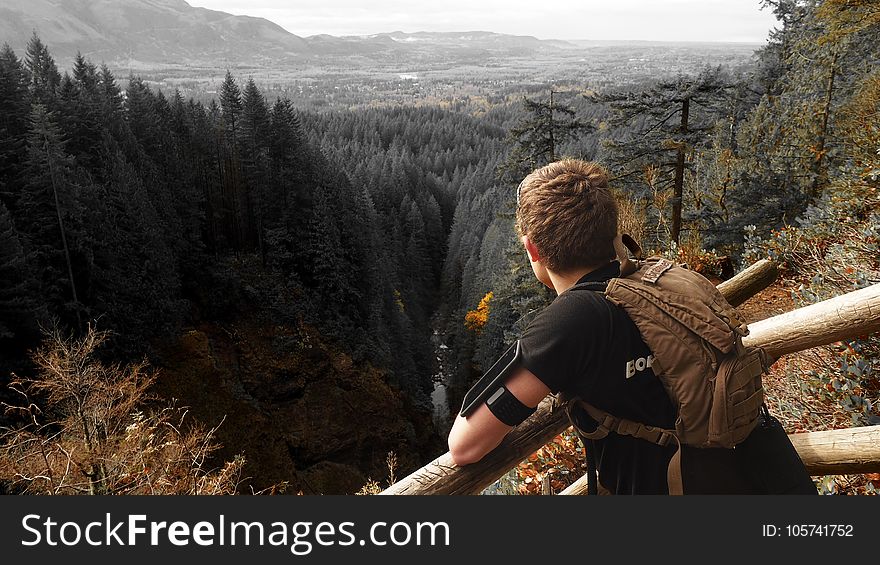 Man in Black Shirt and Brown Backpack Leaning on Brown Wooden Handrail Looking over Green Leaf Pine Trees and Creek