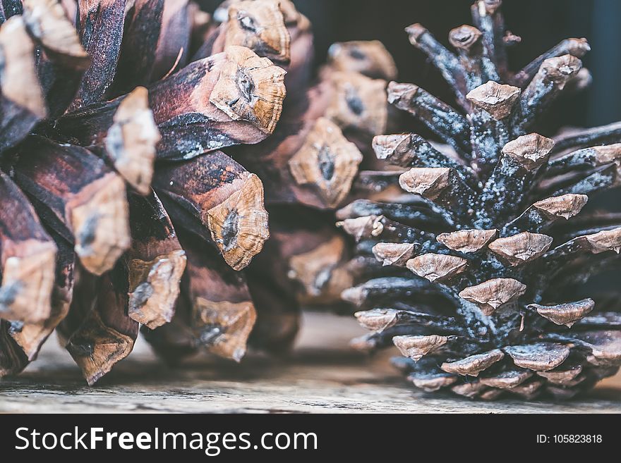 Black And Brown Decor