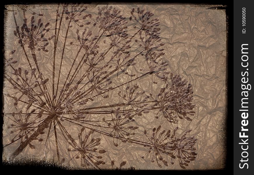 Vintage background. Structure of an old paper with a vegetative element