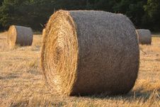 Hay Bale Stock Image Hay Bale Stock Image