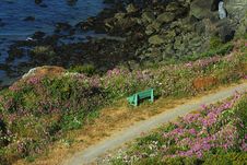 Green Bench, Oregon Coast Stock Images Green Bench, Oregon Coast Stock Images