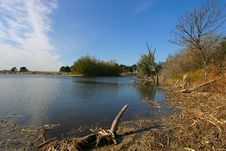 Riverbank Stock Images Riverbank Stock Images