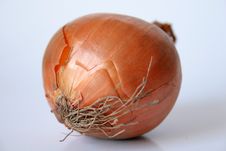 Onion Isolated Royalty Free Stock Images