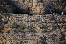Sand Cliff In Closeup Royalty Free Stock Photos Sand Cliff In Closeup Royalty Free Stock Photos