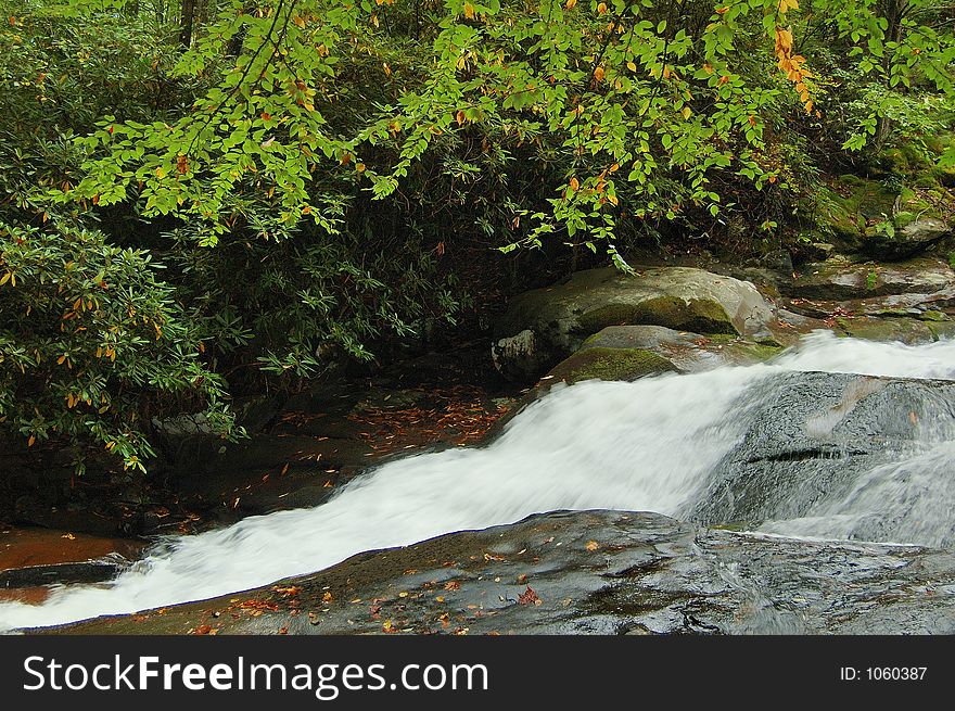 Stream falls in the Tremont area of the Great Smoky Mountains