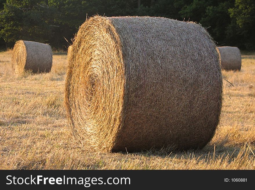 Hay bale in a field