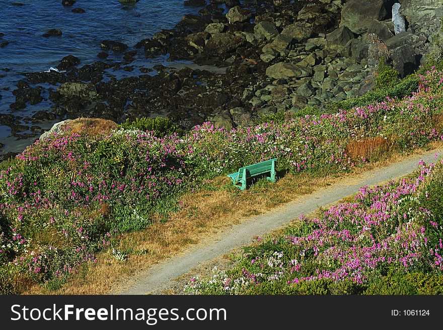 Green Bench, Oregon Coast