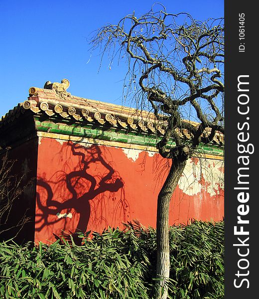 Red wall of an anicent china architecture with a shadow of a tree. Red wall of an anicent china architecture with a shadow of a tree