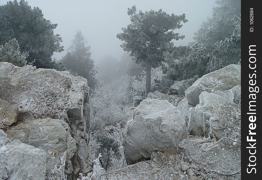 Wintery mountain scene at Sandia Peak, New Mexico (US).