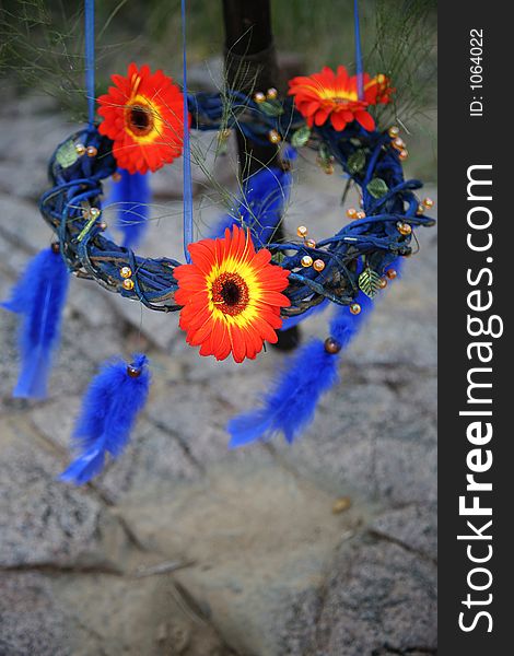 Red daisies and blue feathers. Red daisies and blue feathers