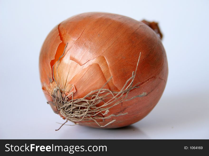 Onion isolated over white background